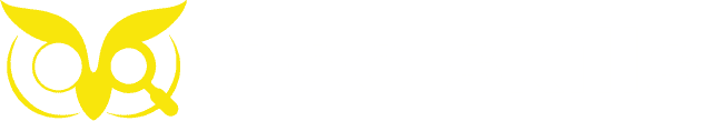 seocompanyfl