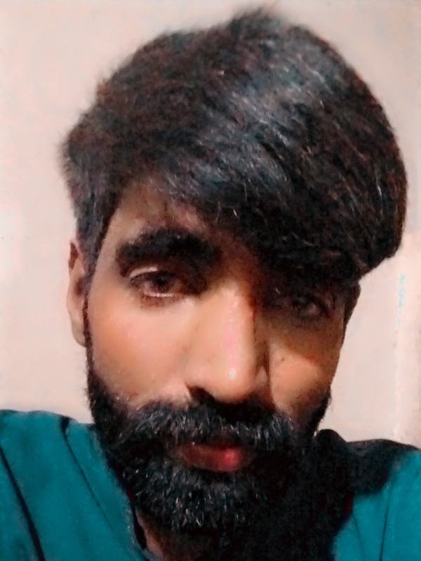 Razi Malik, CEO of SEOCompanyFL